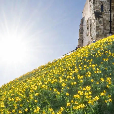 Walcott - Rawcliffe Farm בית נופש פיקרינג