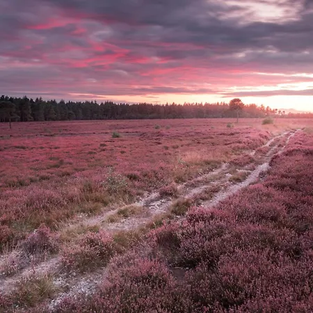 Walcott - Rawcliffe Farm