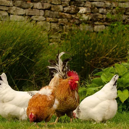 Walcott - Rawcliffe Farm בית נופש פיקרינג