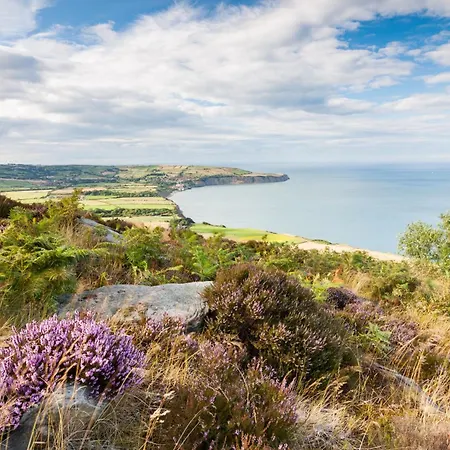 Walcott - Rawcliffe Farm פיקרינג