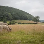 Walcott - Rawcliffe Farm Holiday home