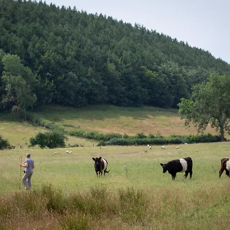 Walcott - Rawcliffe Farm * Pickering